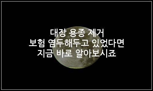 오늘의 이미지