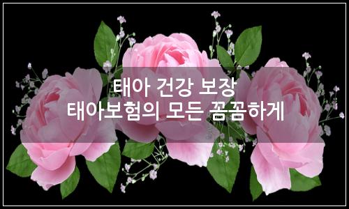 오늘의 이미지