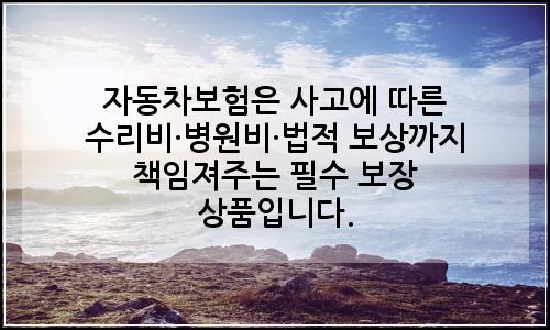 오늘의 이미지