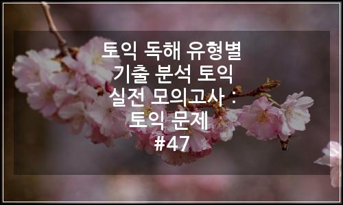 오늘의 이미지