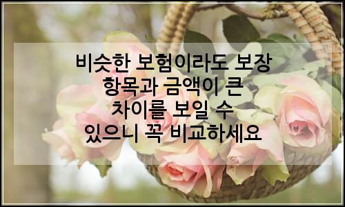 오늘의 이미지