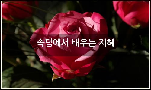 오늘의 이미지