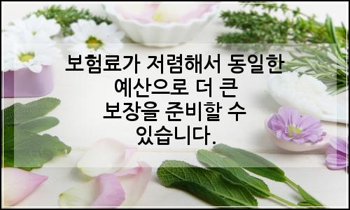 오늘의 이미지