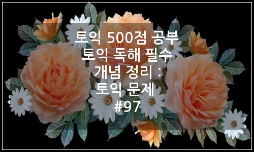 오늘의 이미지