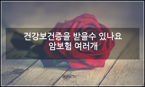오늘의 이미지