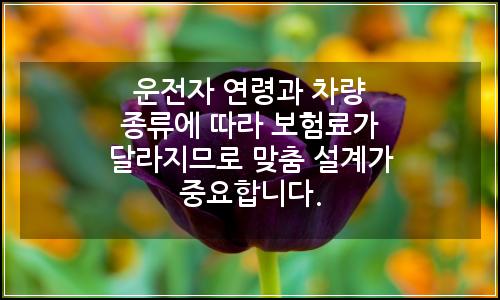 오늘의 이미지