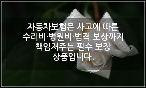 오늘의 이미지