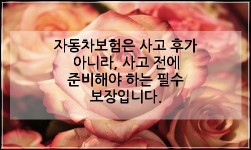 오늘의 이미지