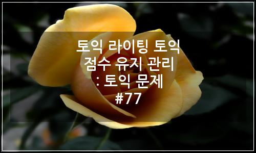 오늘의 이미지
