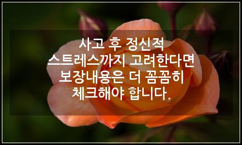 오늘의 이미지