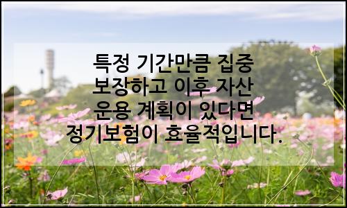 오늘의 이미지