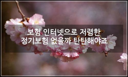 오늘의 이미지