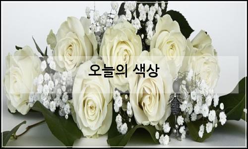 오늘의 이미지