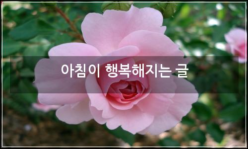 오늘의 이미지