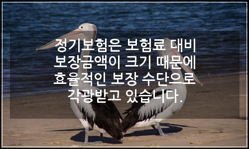 오늘의 이미지