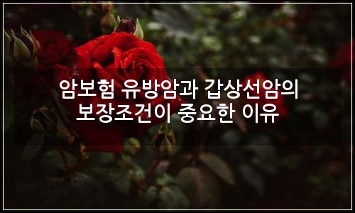 오늘의 이미지