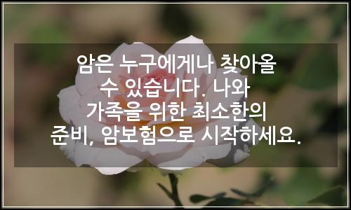 오늘의 이미지