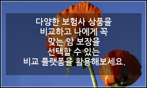 오늘의 이미지