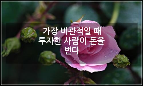오늘의 이미지