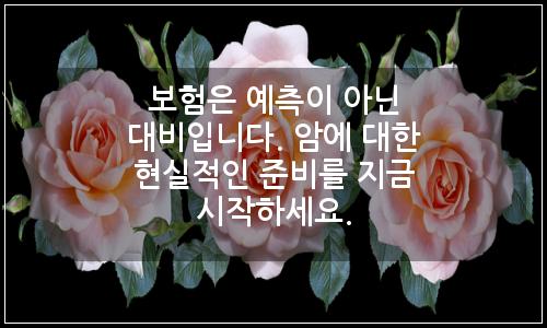 오늘의 이미지