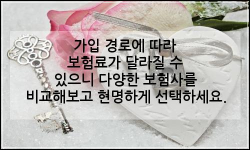 오늘의 이미지