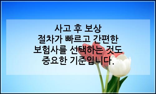 오늘의 이미지