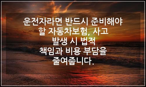 오늘의 이미지