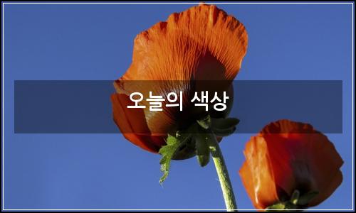 오늘의 이미지