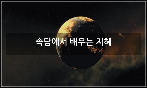 오늘의 이미지