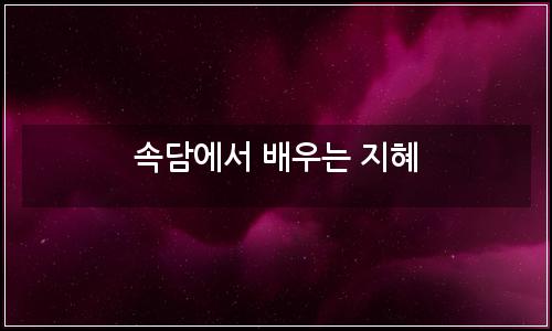 오늘의 이미지