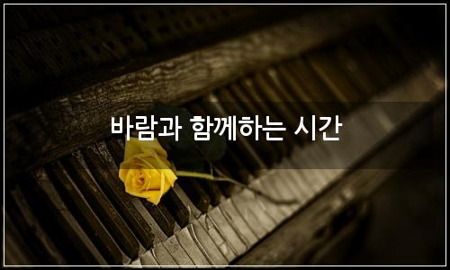 오늘의 이미지