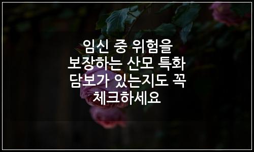 오늘의 이미지