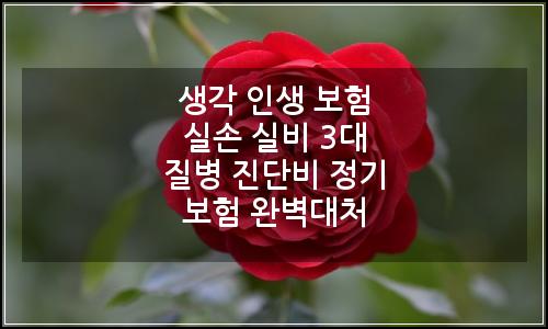 오늘의 이미지