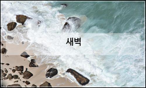 오늘의 이미지