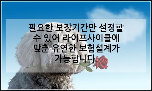 오늘의 이미지