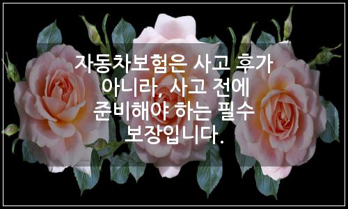 오늘의 이미지