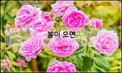 오늘의 이미지