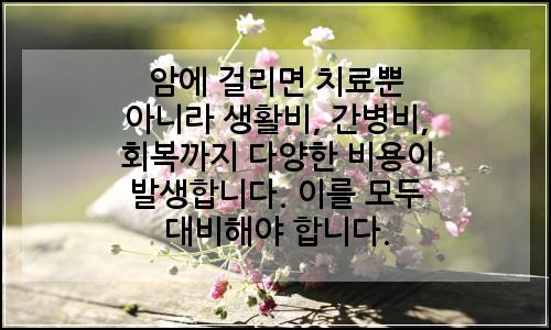 오늘의 이미지