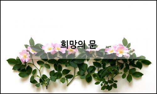 오늘의 이미지