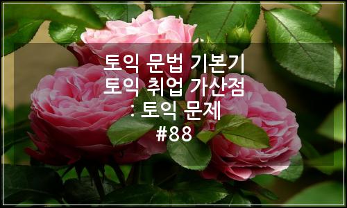 오늘의 이미지