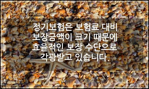오늘의 이미지