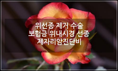 오늘의 이미지