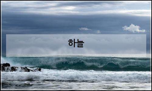 오늘의 이미지