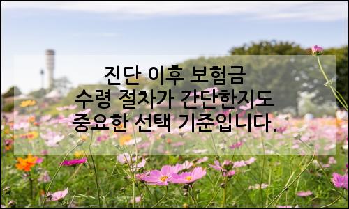 오늘의 이미지