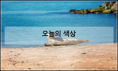오늘의 이미지