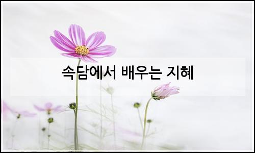 오늘의 이미지
