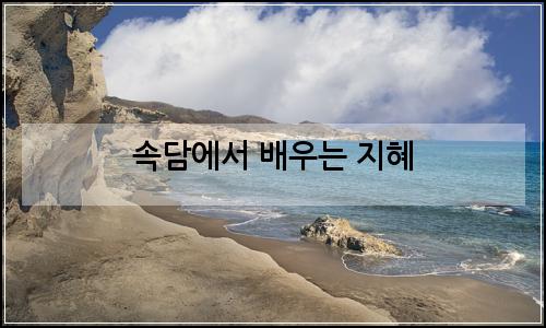 오늘의 이미지