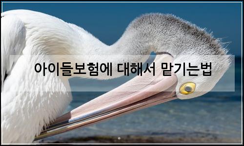 오늘의 이미지