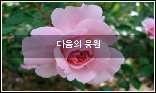 오늘의 이미지