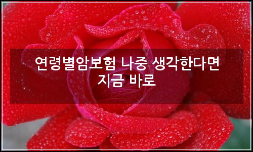오늘의 이미지
